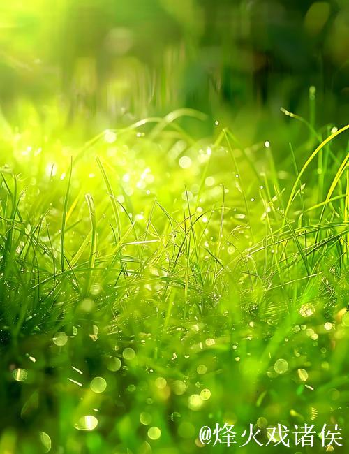 青青草高清视频